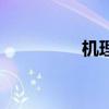 机理是什么意思（机理）