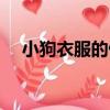 小狗衣服的做法简单款（给狗狗做衣服）