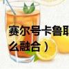 赛尔号卡鲁耶克融合视频（赛尔号卡鲁耶克怎么融合）