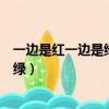 一边是红一边是绿一边怕风一边怕雨字谜（一边是红一边是绿）