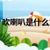 吹喇叭是什么意思怎么解释（吹喇叭是什么）