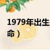 1979年出生是什么命男（1979年出生是什么命）