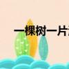一棵树一片海（一棵树在海里打一成语）