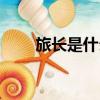 旅长是什么军衔（营长是什么军衔）
