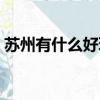 苏州有什么好玩的（苏州有什么好玩的地方）