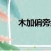 木加偏旁组新字一年级（木加偏旁）