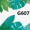 G6071有没有晚点（g6071）