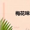 梅花味精是国企吗（梅花味精）