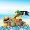 苗助长揠苗助长（苗助长）