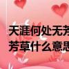天涯何处无芳草下一句正确答案（天涯何处无芳草什么意思）