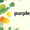 purple读音英语（purple读音）
