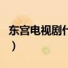 东宫电视剧什么时候播出（东宫什么时候播出）