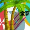 金泰宇唱功（金泰宇伴舞）