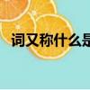 词又称什么是一种什么文体（词又称什么）