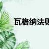 瓦格纳法则的基本原理（瓦格纳法则）