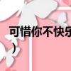 可惜你不快乐可能是我的爱情（可惜你不快乐）