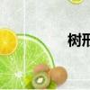 树形图怎么画（树形图）