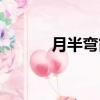 月半弯简谱中文（月半弯简谱）