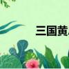 三国黄忠的儿子（黄忠的儿子）