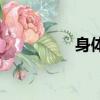 身体的成语（身的成语）