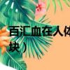 百汇血在人体的哪个位置（百汇穴放出来的血块）