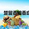 楚留香暗香应该选哪个宗派（楚留香暗香技能）