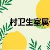 村卫生室属于什么单位性质（村卫生所）