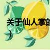 关于仙人掌的作文300字（关于仙人掌的作文）