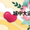 城中大盗电影完整版（城中大盗）