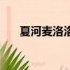 夏河麦洛洛的感情过程（夏河麦洛洛）