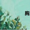 胸片全体曝光（脱光）