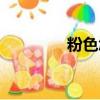 粉色怎么调（紫色怎么调）