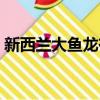 新西兰大鱼龙有多重（比新西兰大鱼龙大的）