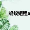 蚂蚁短租app下载（蚂蚁短租可靠吗）