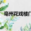亳州花戏楼门票多少钱一张（亳州花戏楼）