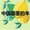 中国哪里的羊肉最好吃（哪里的羊肉最好吃）