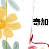 奇加偏旁组词（奇加偏旁）