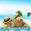 pc板厂家直销（pc）