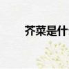芥菜是什么样的视频（芥菜是什么）