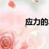 应力的单位是啥（应力的单位）