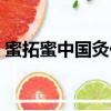 蜜拓蜜中国灸价格表（蜜拓蜜中国灸可靠吗）