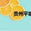 贵州平塘县掌布乡藏字石（字石）
