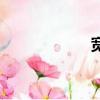 宽笔顺是（宽笔顺）