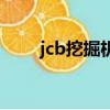 jcb挖掘机是什么牌子（jcb挖掘机）