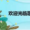 欢迎光临歌词完整版（欢迎光临歌词）