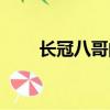 长冠八哥的图片（长冠八哥好养吗）