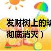 发财树上的蚧壳虫怎样彻底消灭（蚧壳虫怎样彻底消灭）
