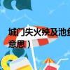 城门失火殃及池鱼的意思是什么意思（城门失火殃及池鱼的意思）