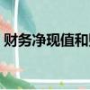 财务净现值和财务内部收益率（财务净现值）