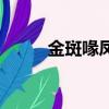 金斑喙凤蝶纪念币（金斑喙凤蝶）